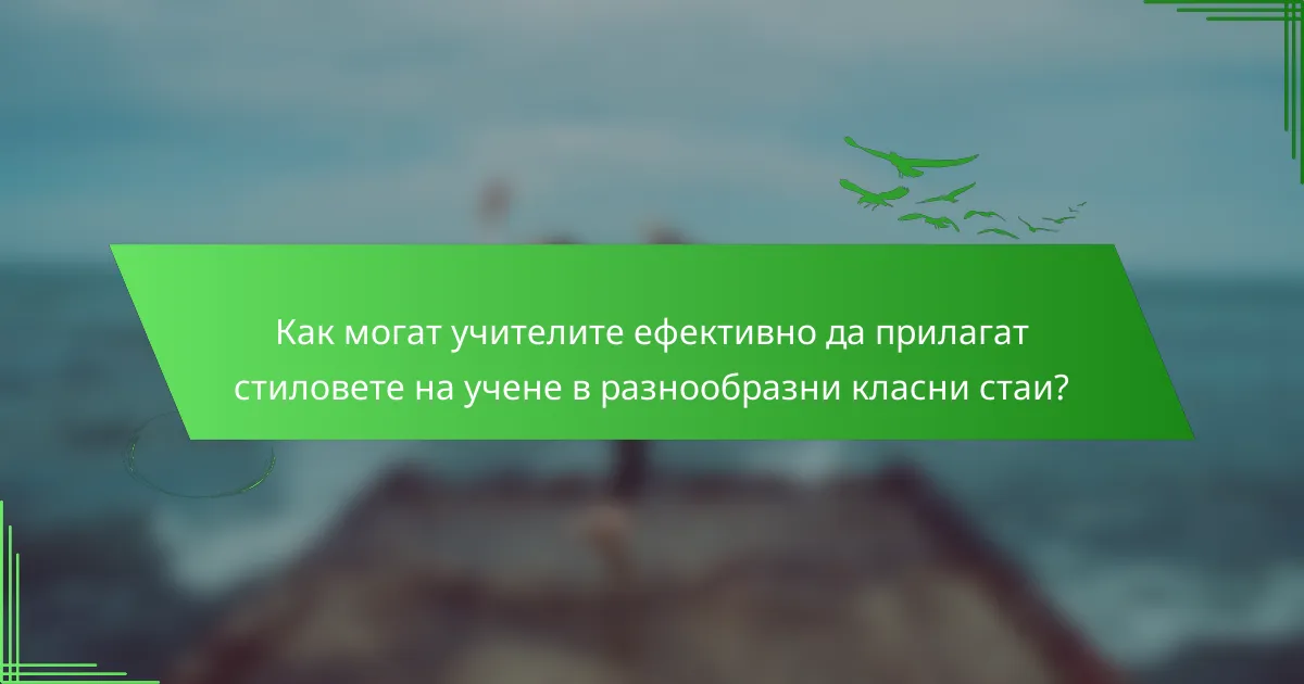 Как могат учителите ефективно да прилагат стиловете на учене в разнообразни класни стаи?