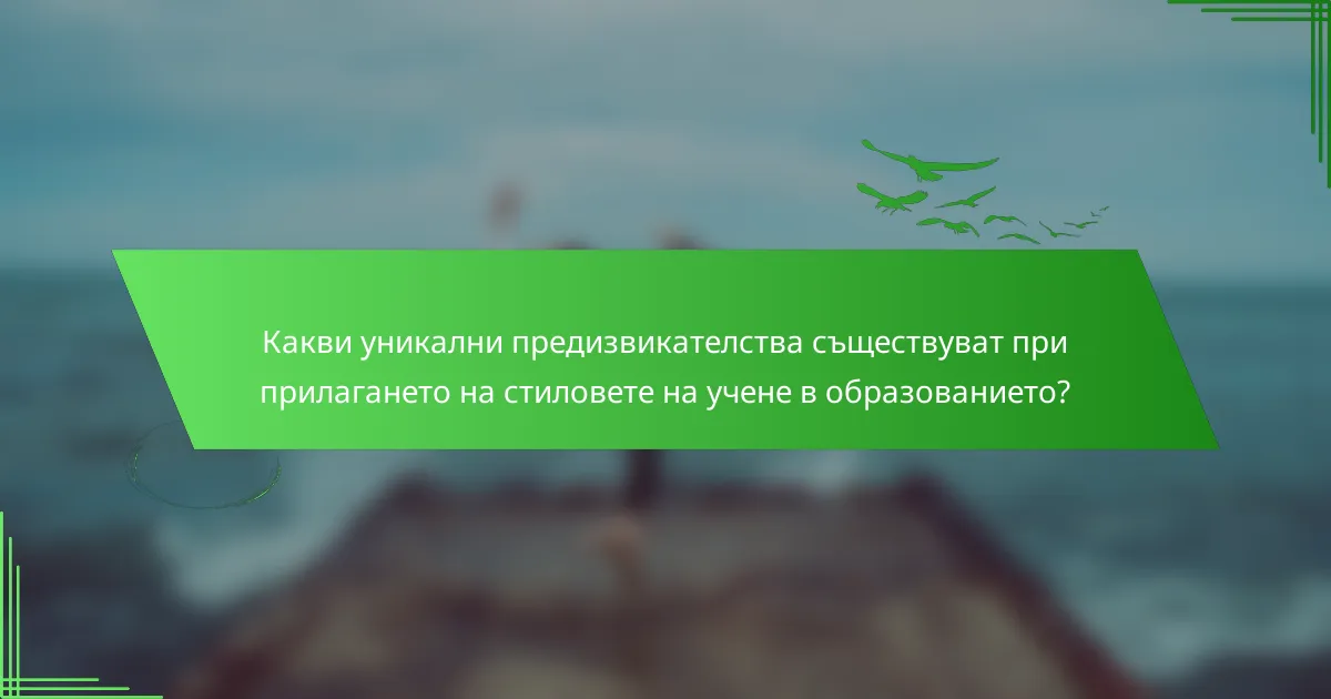 Какви уникални предизвикателства съществуват при прилагането на стиловете на учене в образованието?